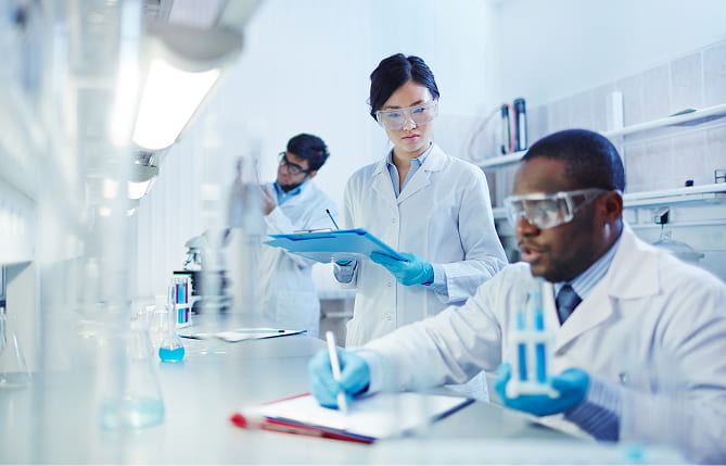 Stock Photo of a Team in a Lab