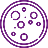 Blood Components Icon