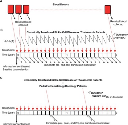 Thumbnail of news item